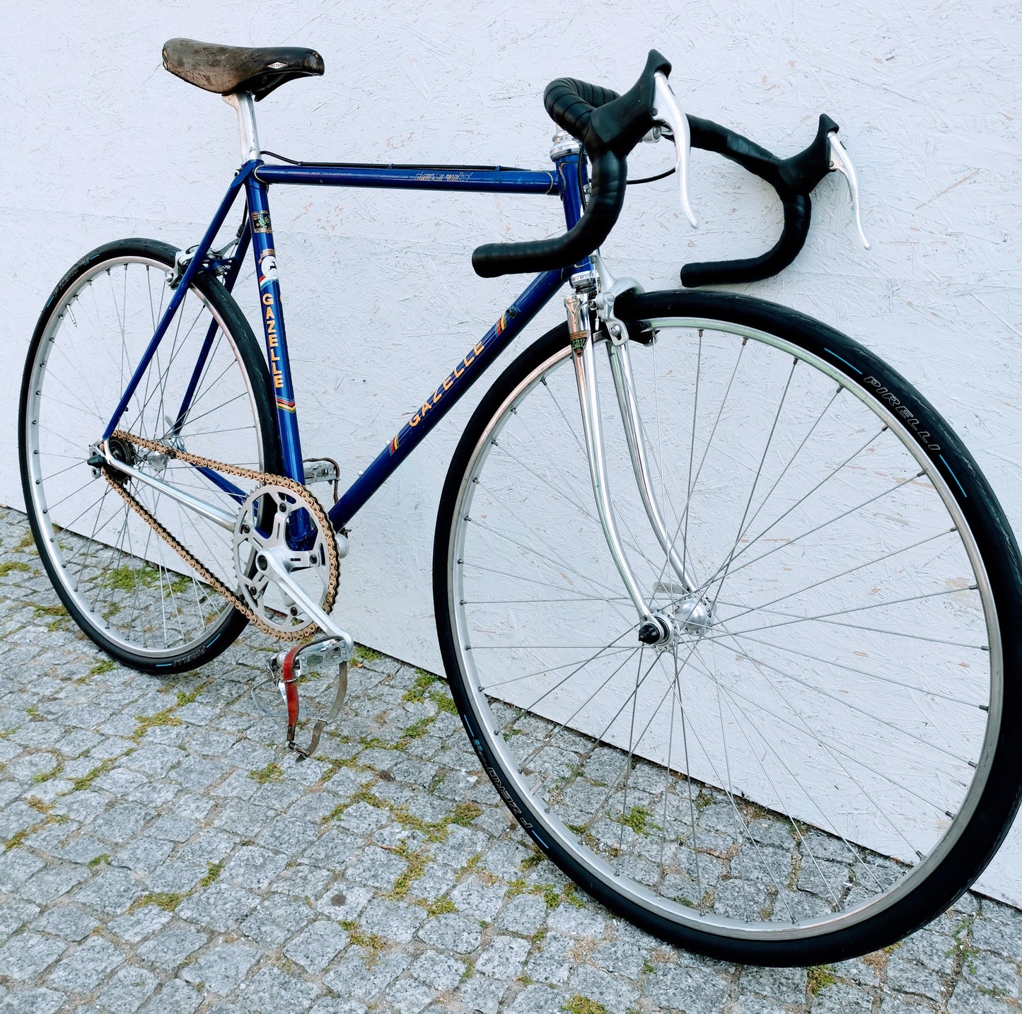 GAZELLE Champion Mondial Fixie