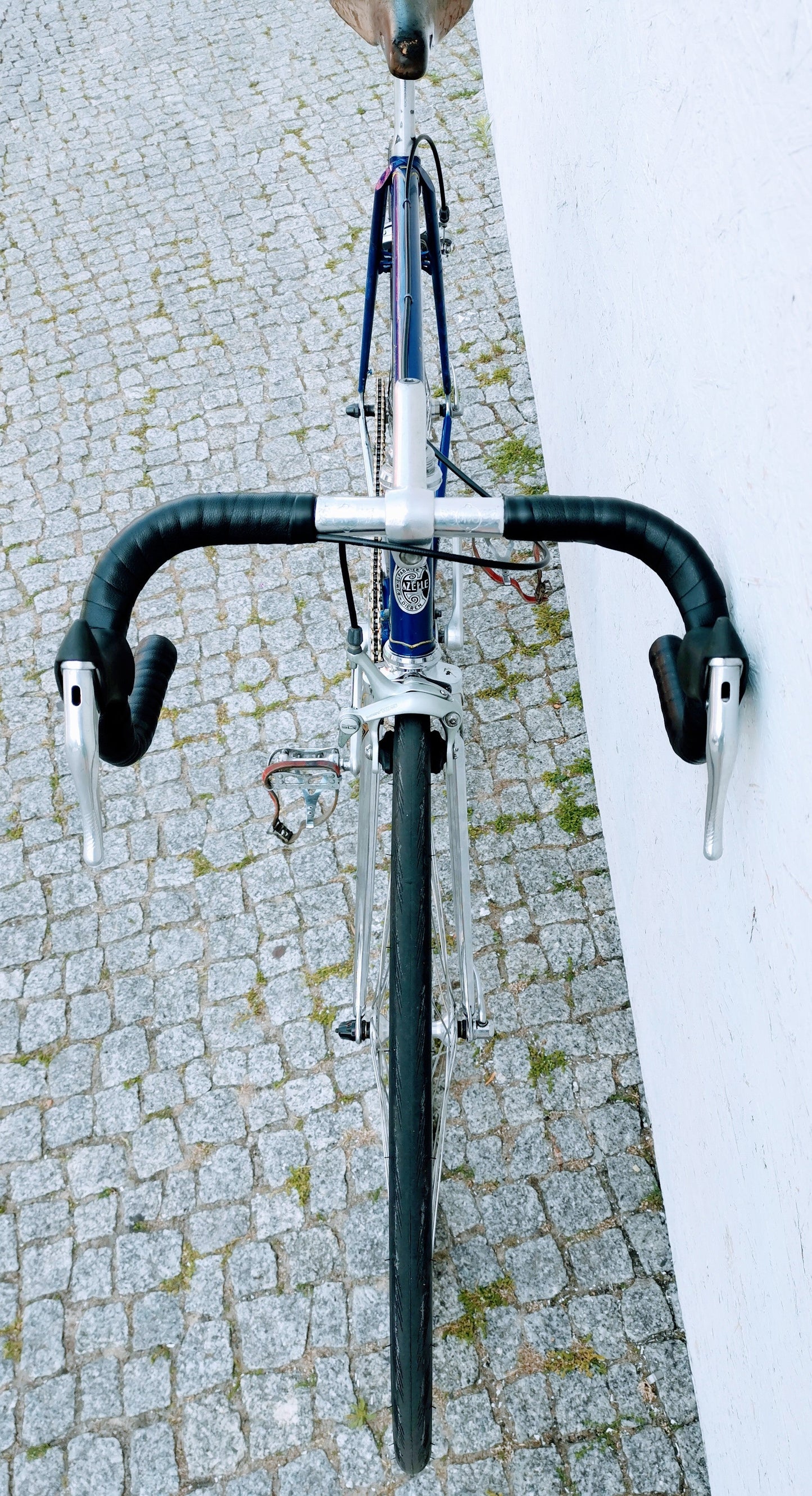 GAZELLE Champion Mondial Fixie