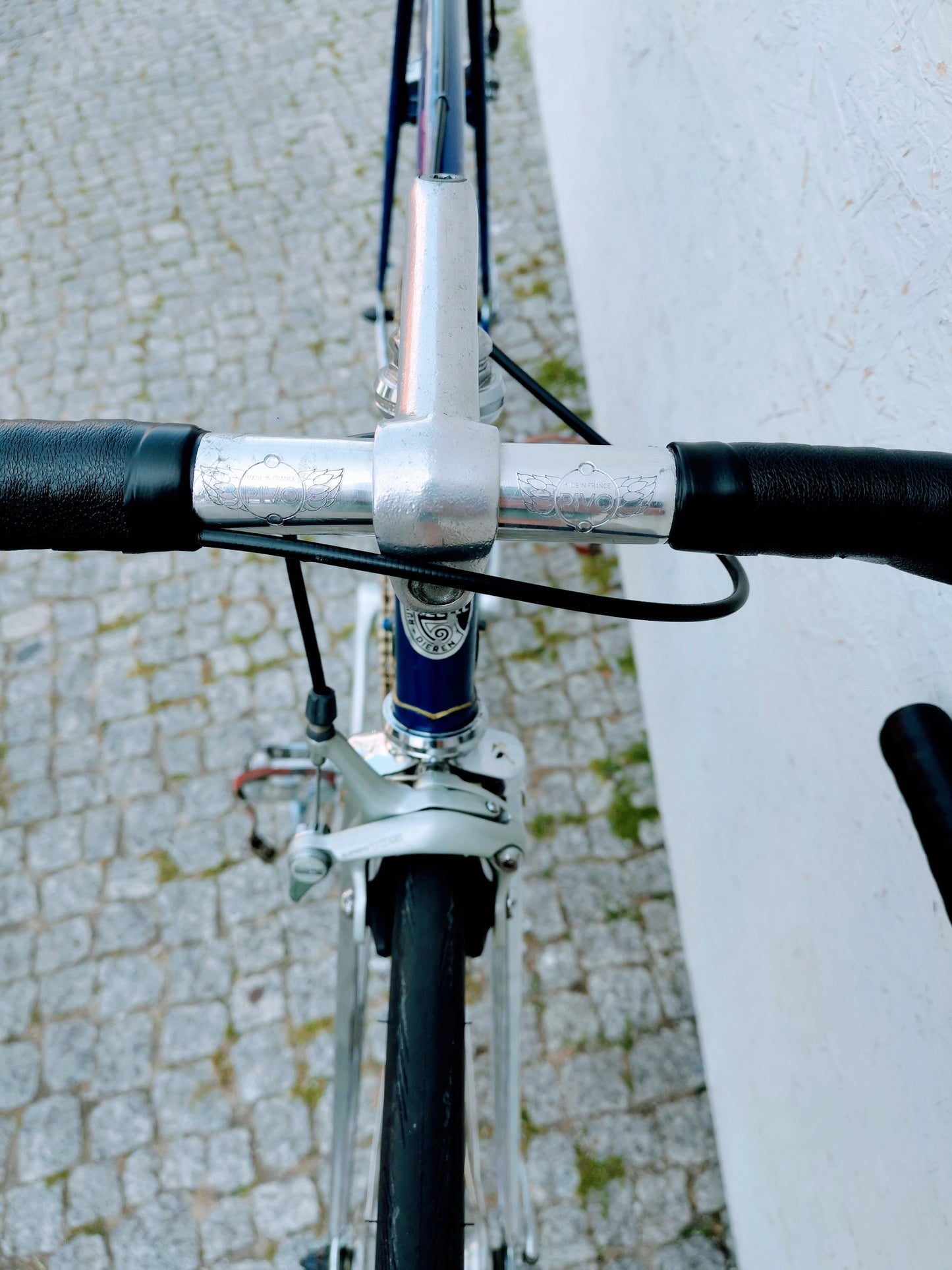 GAZELLE Champion Mondial Fixie