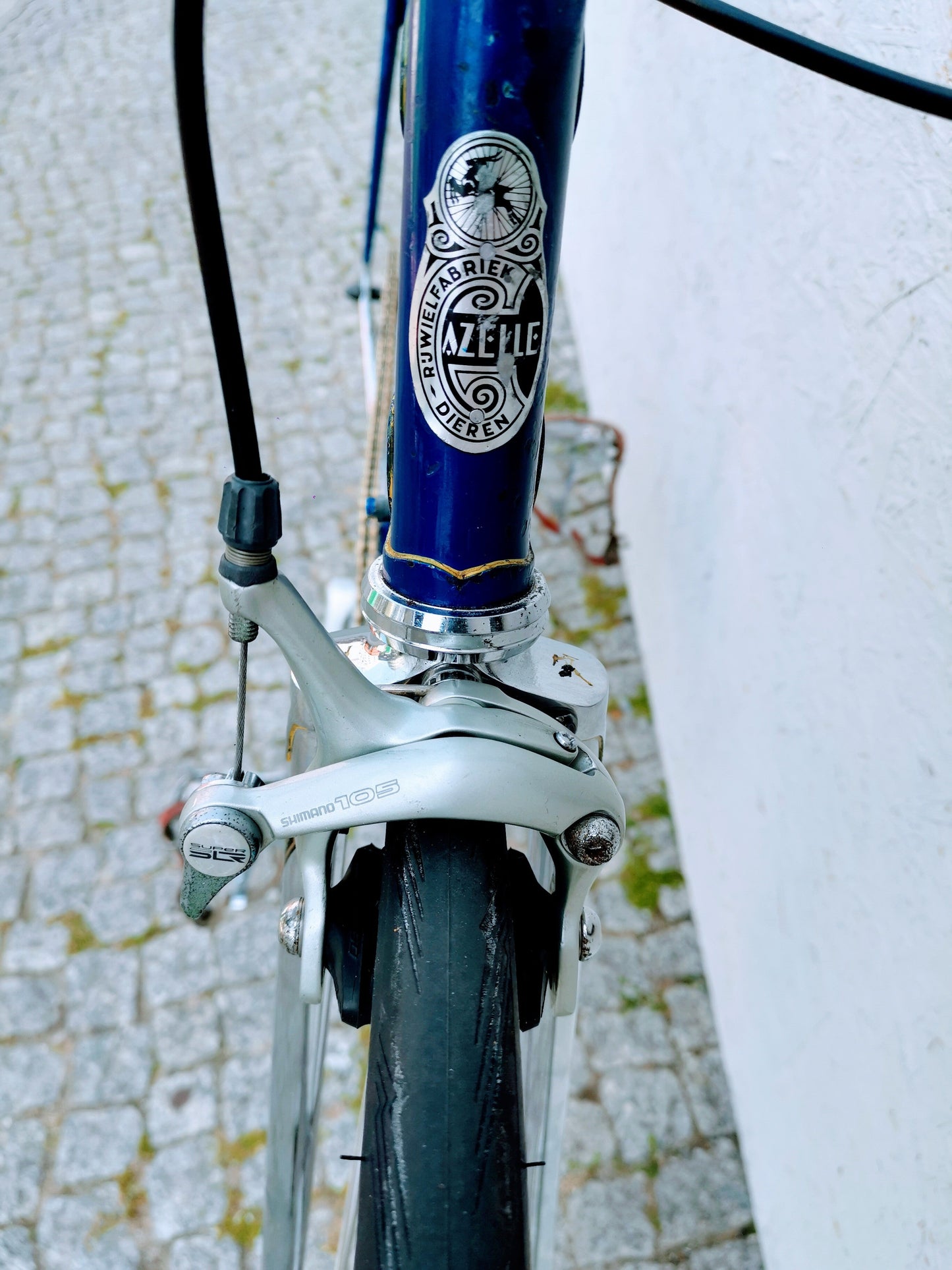 GAZELLE Champion Mondial Fixie