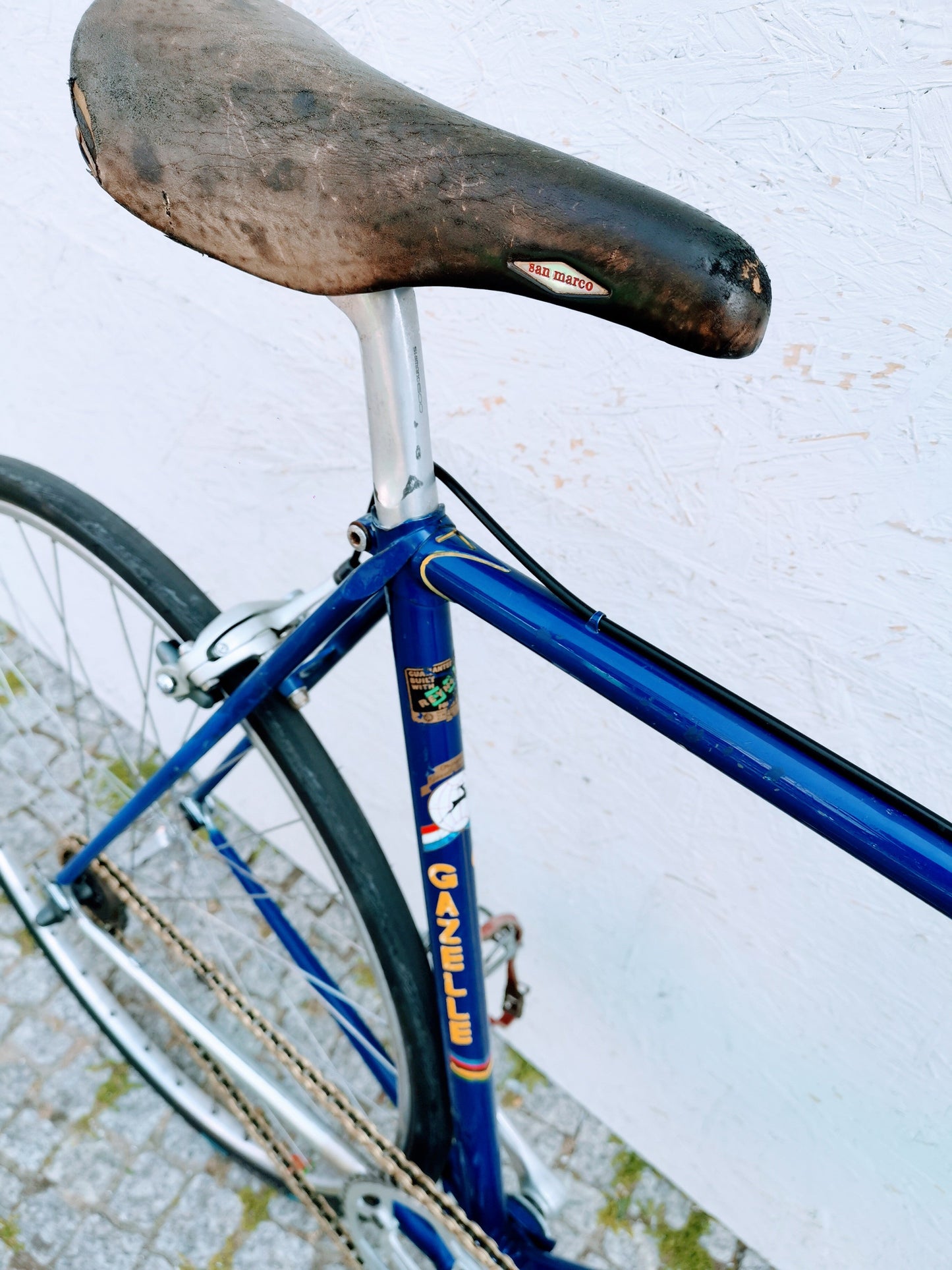 GAZELLE Champion Mondial Fixie