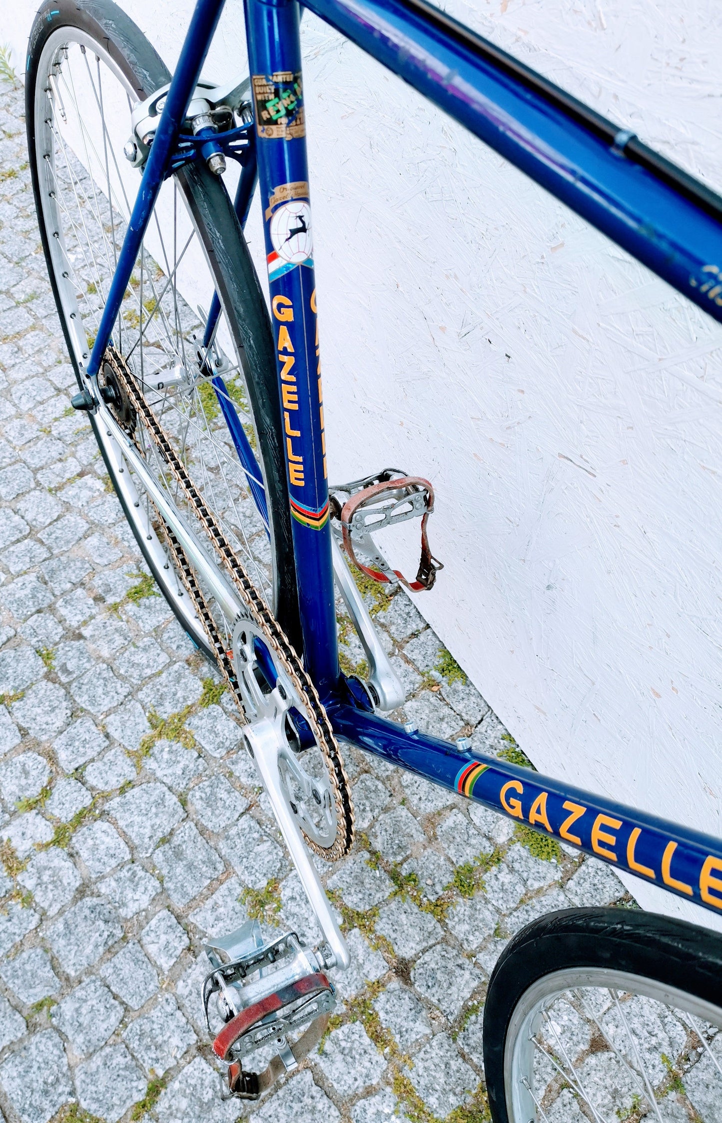 GAZELLE Champion Mondial Fixie