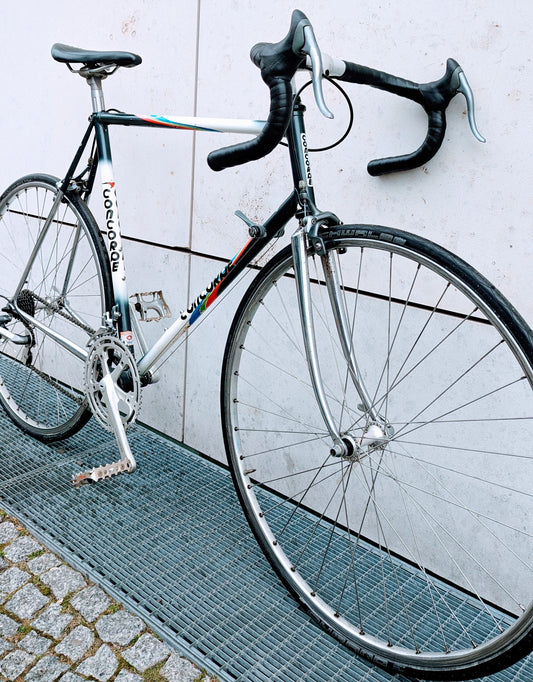 CONCORDE Astore